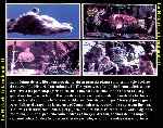 carátula trasera de divx de La Historia Interminable Ii - El Siguiente CapÃ­tulo