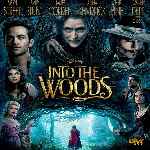 carátula frontal de divx de Into The Woods