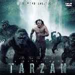 carátula frontal de divx de La Leyenda De Tarzan - 2015 - V2
