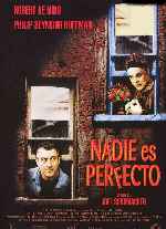 carátula frontal de divx de Nadie Es Perfecto