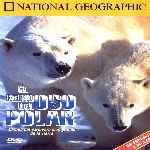 carátula frontal de divx de National Geographic - El Reino Del Oso Polar