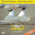 cartula frontal de divx de National Geographic - La Vida En Las Marismas