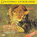 carátula frontal de divx de National Geographic - Leopardo La Noche Del Cazador