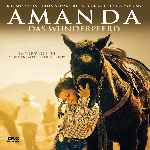 carátula frontal de divx de Amanda - 1996