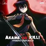 carátula frontal de divx de Akame Ga Kill - Temporada 01