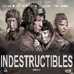 carátula frontal de divx de Indestructibles