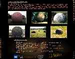carátula trasera de divx de Planeta Encantado - 13 - Las Esferas De Nadie
