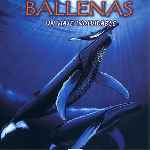 carátula frontal de divx de Imax - 13 - Ballenas - Un Viaje Inolvidable