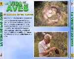 carátula trasera de divx de Bbc - La Vida De Las Aves - Capitulo 08