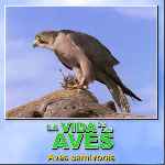 carátula trasera de divx de Bbc - La Vida De Las Aves - Capitulo 04