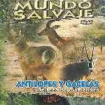 carátula frontal de divx de Mundo Salvaje - Antilopes Y Gacelas