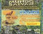 carátula trasera de divx de Mundo Salvaje - Antilopes Y Gacelas
