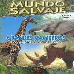 carátula frontal de divx de Mundo Salvaje - Grandes Mamiferos
