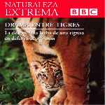 carátula frontal de divx de Bbc - Naturaleza Extrema - Volumen 05