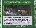 carátula trasera de divx de El Hombre Y La Tierra - Fauna Iberica - El Macho Montes