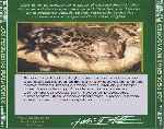 carátula trasera de divx de El Hombre Y La Tierra - Fauna Iberica - Los Pequenos Matadores