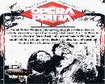 carátula trasera de divx de Opera Prima