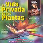 carátula frontal de divx de La Vida Privada De Las Plantas