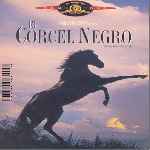 carátula frontal de divx de El Corcel Negro