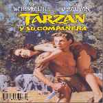 carátula frontal de divx de Tarzan Y Su Companera
