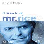 carátula frontal de divx de El Secreto De Mr. Rice