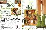 carátula dvd de La Extrana Vida De Timothy Green - Custom