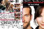 carátula dvd de El Lado Luminoso De La Vida - Custom - V2