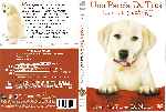 carátula dvd de Una Pareja De Tres - Los Anos Del Cachorro