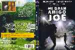 carátula dvd de Mi Gran Amigo Joe