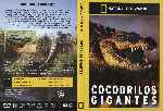 cartula dvd de National Geographic - Cocodrilos Gigantes