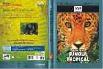 carátula dvd de Maravillas Del Mundo Animal - Volumen 09 - Fauna De La Jungla Tropical