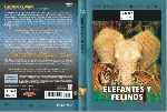carátula dvd de Maravillas Del Mundo Animal - Volumen 12 - Elefantes Y Felinos
