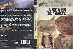 carátula dvd de Viaje A La Prehistoria - La Vida En Los Canones