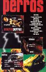 carátula dvd de Amores Perros - Inlay 02