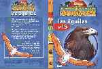 carátula dvd de El Maravilloso Mundo De Los Animales - Volumen 15 - Las Aguilas