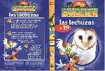 carátula dvd de El Maravilloso Mundo De Los Animales - Volumen 19 - Las Lechuzas