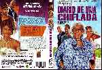 carátula dvd de Diario De Una Chiflada