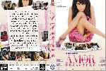 carátula dvd de Amor Y Otros Desastres - Custom