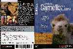 carátula dvd de La Historia Del Camello Que Llora - Region 4