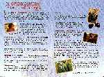 carátula dvd de El Guardaespaldas Y La Primera Dama - Region 1-4 - Inlay 02