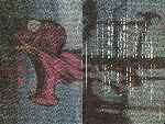 carátula dvd de The Wall - El Muro - Inlay 01 - Region 1-4