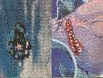 carátula dvd de The Wall - El Muro - Inlay 02 - Region 1-4