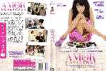 carátula dvd de Amor Y Otros Desastres
