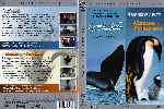 carátula dvd de Gigantes De Valdez - La Marcha De Los Piguinos - Region 4