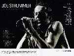 carátula dvd de Joe Strummer - Vida Y Muerte De Un Cantante - Edicion Coleccionista - Inlay 02
