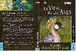 carátula dvd de Bbc - La Vida De Las Aves - Capitulo 07 - Region 4