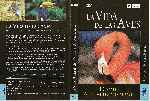 carátula dvd de Bbc - La Vida De Las Aves - Capitulo 10 - Region 4