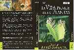 cartula dvd de Bbc - La Vida Privada De Las Plantas - Creciendo