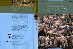 carátula dvd de El Planeta Vivo - El Reino Animal 03