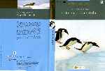carátula dvd de El Planeta Vivo - El Reino Animal 08